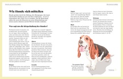 Innenansicht 3 zum Buch Das denkt dein Hund