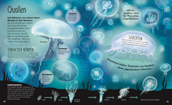 Innenansicht 2 zum Buch Die verborgene Welt der Ozeane