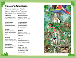 Innenansicht 3 zum Buch SUPERLESER! Abenteuer im Regenwald
