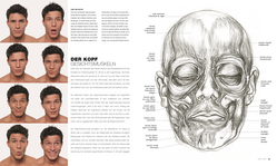 Innenansicht 2 zum Buch Anatomie für Künstler