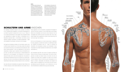 Innenansicht 3 zum Buch Anatomie für Künstler