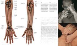 Innenansicht 4 zum Buch Anatomie für Künstler