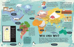 Innenansicht 4 zum Buch Alles übers Schlafen