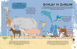 Innenansicht 5 zum Buch Alles übers Schlafen