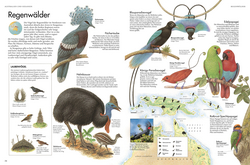 Innenansicht 5 zum Buch Atlas der Vögel