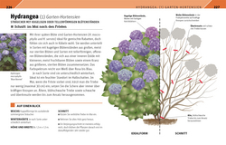 Innenansicht 5 zum Buch Gartenwissen Pflanzenschnitt