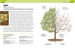 Innenansicht 7 zum Buch Gartenwissen Pflanzenschnitt