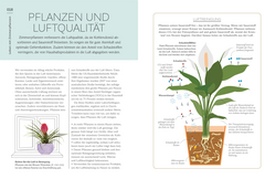 Innenansicht 3 zum Buch Meine Zimmerpflanze und ich