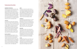 Innenansicht 3 zum Buch Kartoffelküche