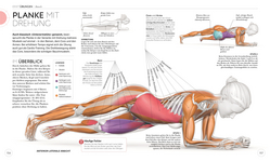 Innenansicht 5 zum Buch Krafttraining – Die Anatomie verstehen