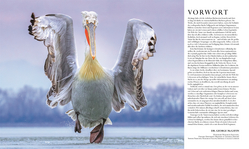 Innenansicht 2 zum Buch Die Natur in über 5000 Fotos