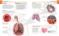 Innenansicht 5 zum Buch Visuelles Wissen. Biologie