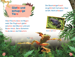 Innenansicht 3 zum Buch SUPERLESER! Tiere des Regenwalds