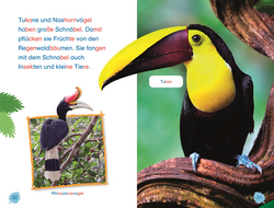 Innenansicht 4 zum Buch SUPERLESER! Tiere des Regenwalds