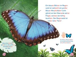 Innenansicht 5 zum Buch SUPERLESER! Tiere des Regenwalds