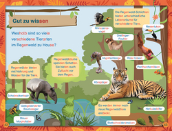 Innenansicht 7 zum Buch SUPERLESER! Tiere des Regenwalds