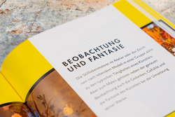 Innenansicht 11 zum Buch Das große Handbuch für Künstler