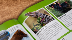 Innenansicht 11 zum Buch Exklusive Einblicke! Zoo