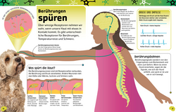 Innenansicht 4 zum Buch Superstark & superschlau. Superschlaues Gehirn