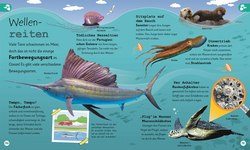 Innenansicht 6 zum Buch Wissen für Vorschulkids. Was weißt du über Ozeane?