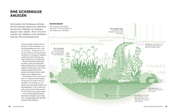 Innenansicht 4 zum Buch Klimafreundlich gärtnern