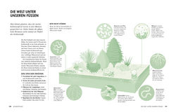 Innenansicht 6 zum Buch Klimafreundlich gärtnern