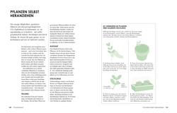 Innenansicht 7 zum Buch Klimafreundlich gärtnern