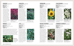 Innenansicht 8 zum Buch Grünes Gartenwissen. Ökologisch gärtnern