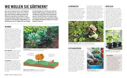 Innenansicht 2 zum Buch Grünes Gartenwissen. Gemüse anbauen