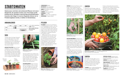 Innenansicht 5 zum Buch Grünes Gartenwissen. Gemüse anbauen