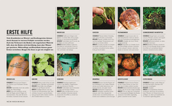 Innenansicht 7 zum Buch Grünes Gartenwissen. Gemüse anbauen