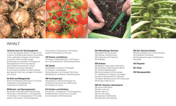 Innenansicht 1 zum Buch Gemüse für jeden Garten