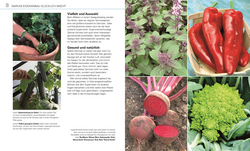 Innenansicht 2 zum Buch Gemüse für jeden Garten