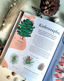 Innenansicht 13 zum Buch Große und kleine Schätze der Natur. Große und kleine Schätze der Natur