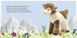 Innenansicht 1 zum Buch Mein liebstes Kuscheltierbuch. Tierbabys