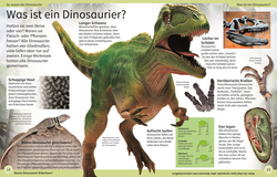 Innenansicht 2 zum Buch DK Kinderlexikon. Dinosaurier