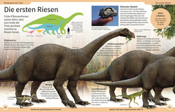 Innenansicht 3 zum Buch DK Kinderlexikon. Dinosaurier