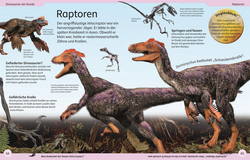 Innenansicht 4 zum Buch DK Kinderlexikon. Dinosaurier