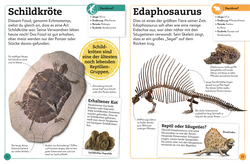 Innenansicht 6 zum Buch Fossilien