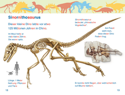 Innenansicht 3 zum Buch SUPERLESER! Alarm im Dino-Museum