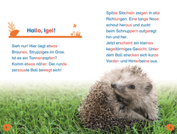 Innenansicht 1 zum Buch SUPERLESER! Hallo, Igel!