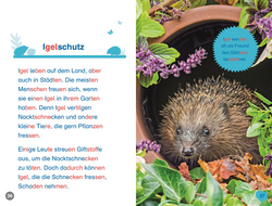 Innenansicht 5 zum Buch SUPERLESER! Hallo, Igel!