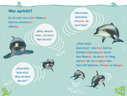 Innenansicht 2 zum Buch SUPERLESER! Wo bist du, kleiner Delfin?