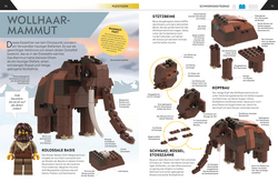Innenansicht 6 zum Buch LEGO® Bauideen Dinosaurier