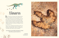 Innenansicht 4 zum Buch Wundervolle Welt der Dinosaurier und der Urzeit