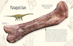 Innenansicht 5 zum Buch Wundervolle Welt der Dinosaurier und der Urzeit