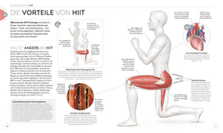 Innenansicht 3 zum Buch HIIT - Die Anatomie verstehen