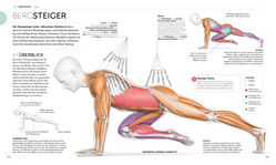 Innenansicht 5 zum Buch HIIT - Die Anatomie verstehen