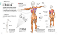 Innenansicht 6 zum Buch HIIT - Die Anatomie verstehen