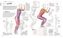 Innenansicht 8 zum Buch HIIT - Die Anatomie verstehen